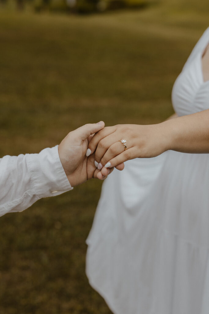 Dahlonega engagement